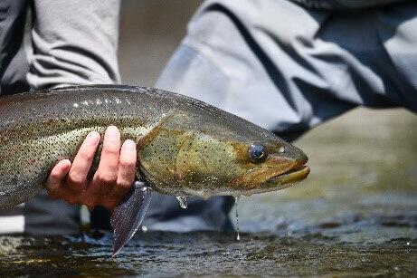 FISHING TOUR TO UGII LAKE LISTED ON RAMSAR CONVENTION